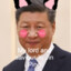 I Love Xi Jin Ping