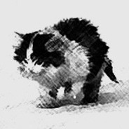 I WILL DEFINITELY SURVIVE