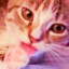 Felix