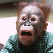 Buzz - steam id 76561197960967791