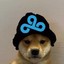 dog wif hat 2