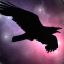 Cosmic Raven