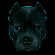 𝔻𝕒𝕟𝕘𝕖𝕣_𝕏𝟙