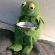 小七今天不上游