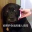 秃头阿伟