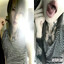 forever young ;)
