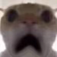 我是波比我要波开你的比