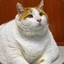 FatCat