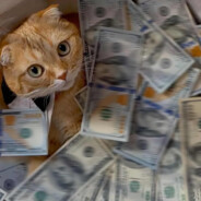 状态选手没状态