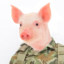 Sgt_Pigface