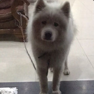 不听不听 王八念经