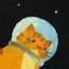 SpaceMarineCat