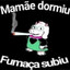 Esquadrilha da Fumaça