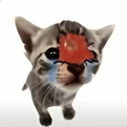 玩家头像