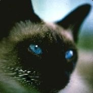 Tomcat - steam id 76561197970359991