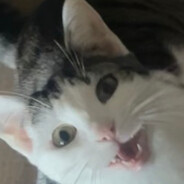 Levenaye