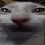Tiny Chud