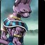 Beerus