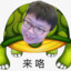zpp的爱宠