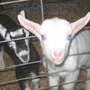 刻在我心底的名字