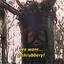 a shrubbery