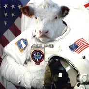 Space Cow