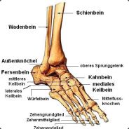 Die Hand - steam id 76561197967296864