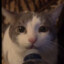 HalfOffHell's avatar
