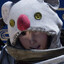 Lunne
