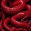 exotique+.+BLOOD+