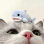 sy u u u u