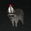 Raccoon Pope