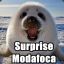 Surprise Mãe da Foca