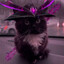 C:\Program Files\Ruin