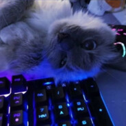 mORAZM=dominate you moom by - steam id 76561199502376485