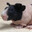 Nils Bo Hamburger