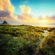 妈妈我想吃烤山药