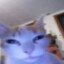 小皮猫QAQ