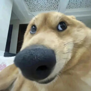 拖鞋