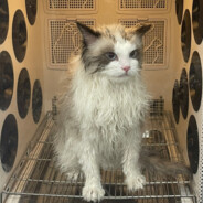 nononononononononononononono