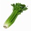 celery