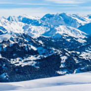 inconperhensibilities