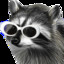 Raccoon with Clout