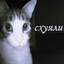 дочка зумер)