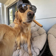 pahan - steam id 76561199522956938