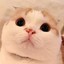 YUu.Cheng