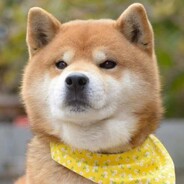 翻斗花园突击手胡图图