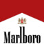 Marlboro