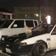 孤独なレーサー