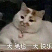 白袜壮鸡的熊巴